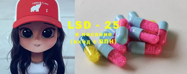 PSILOCYBIN Алзамай