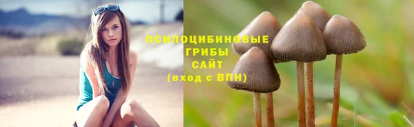 PSILOCYBIN Алзамай